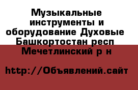 Музыкальные инструменты и оборудование Духовые. Башкортостан респ.,Мечетлинский р-н